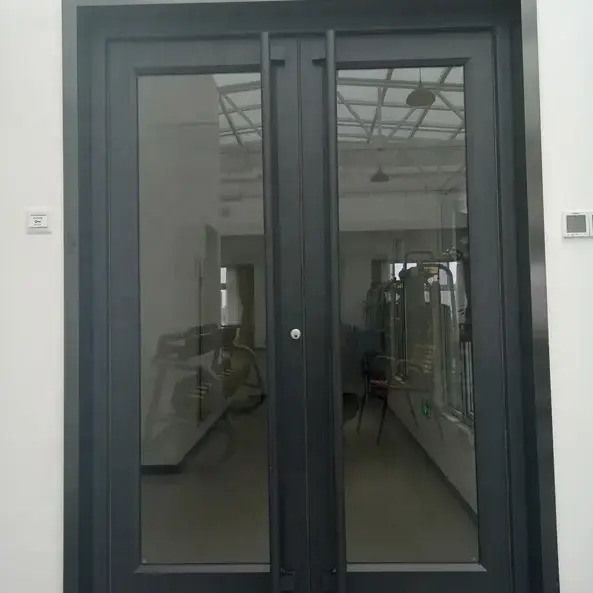 OEM UPVC inossidabile stell alluminio doppio swing porte kfc porta 1,2 mm di spessore